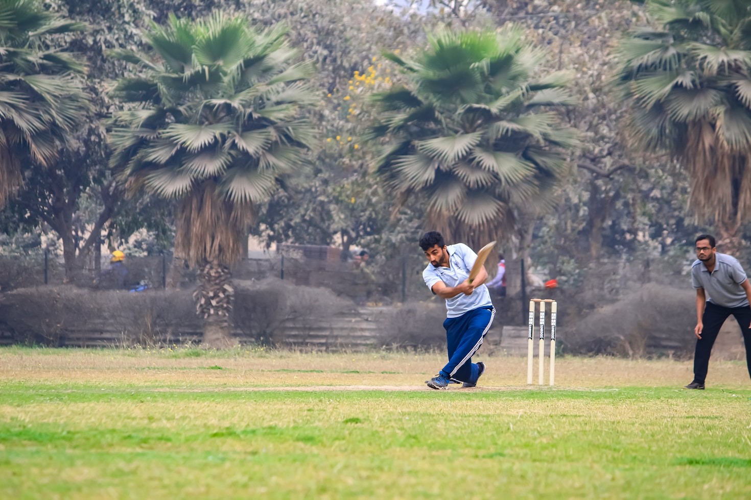 Exploring the Thrills of Online Cricket Betting
